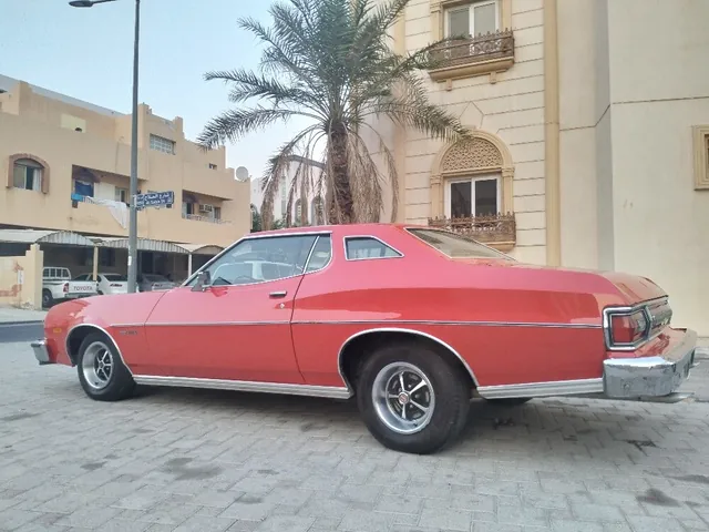 Photo of 1974 Ford Torino