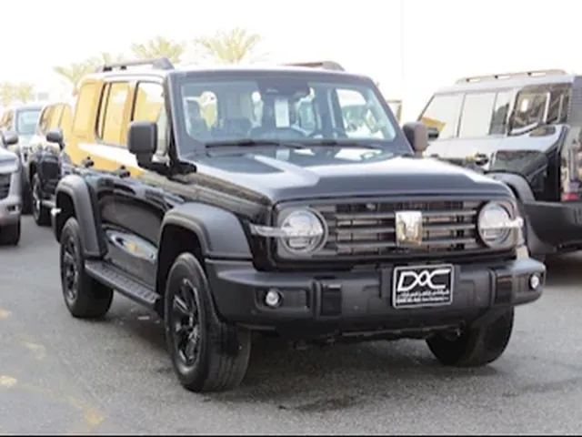 صورة 2025 تانك 300