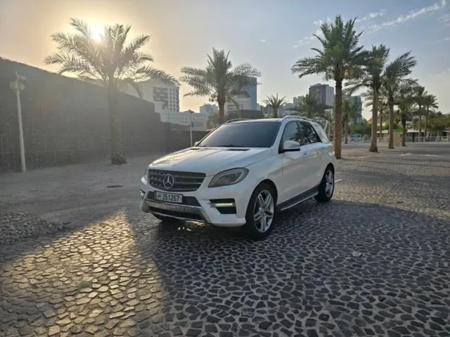 صورة 2013 مرسيدس-بنز M ML 350