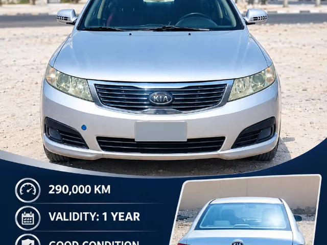 Photo of 2010 Kia Optima 2
