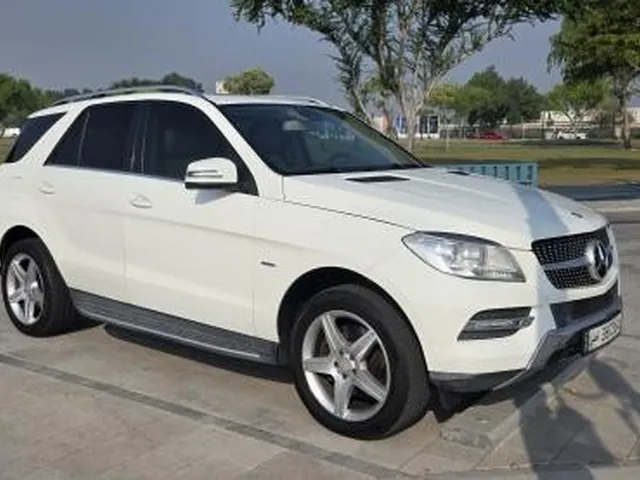 صورة 2013 مرسيدس-بنز M ML 350