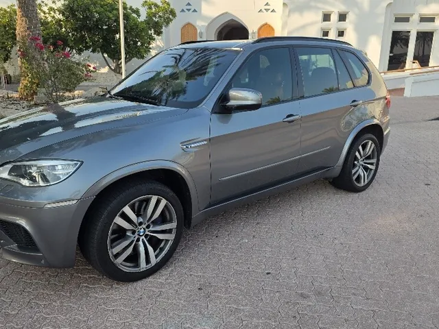 صورة 2013 بي إم دبليو XM