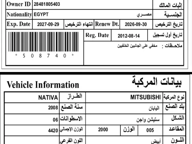 Photo of 2008 Mitsubishi Nativa