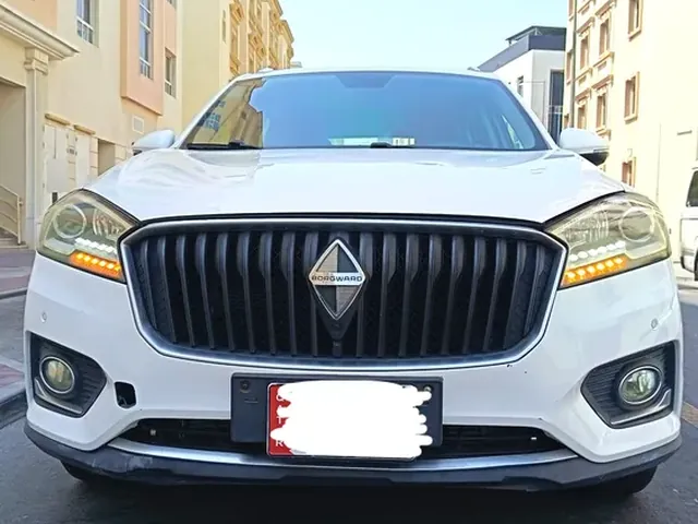 صورة 2018 بورغوارد BX7