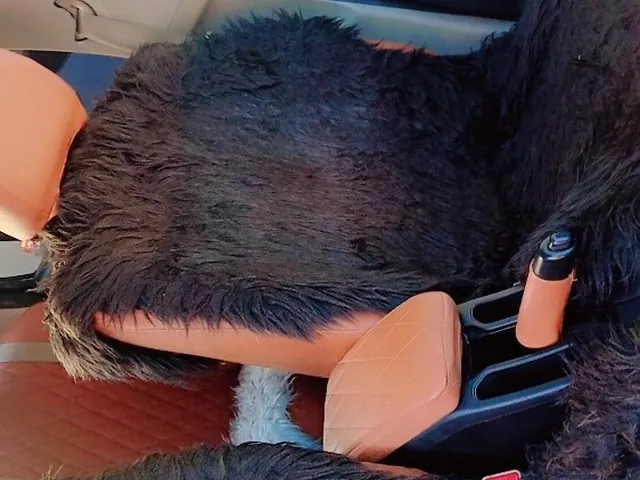 Photo of 2020 Honda City
