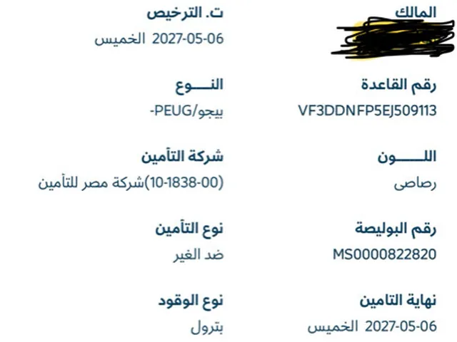 صورة 2014 بيجو 301