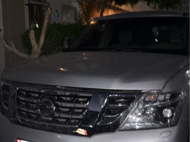 Photo of 2014 Nissan Patrol SE