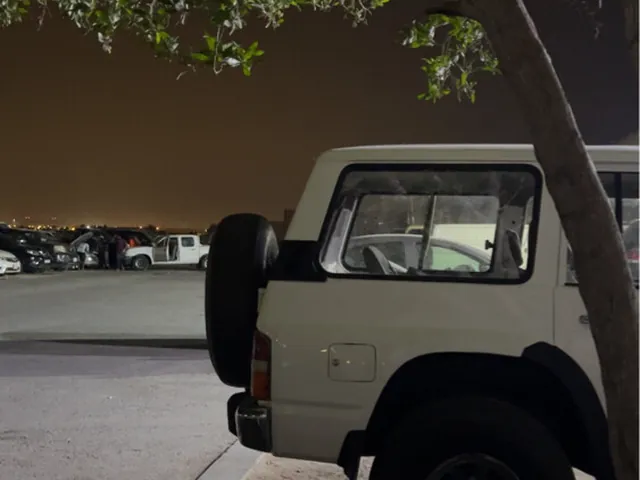 Photo of 1991 Nissan Patrol Safari