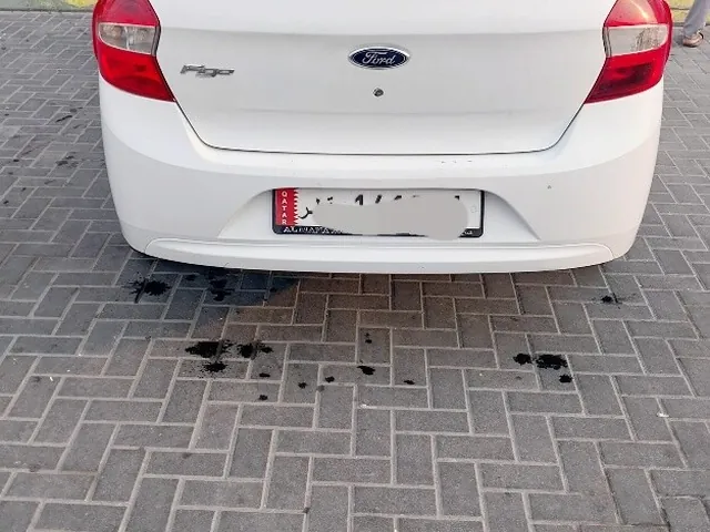 صورة 2016 فورد فيجو