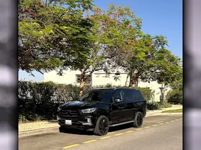 Photo of 2022 Maxus D90