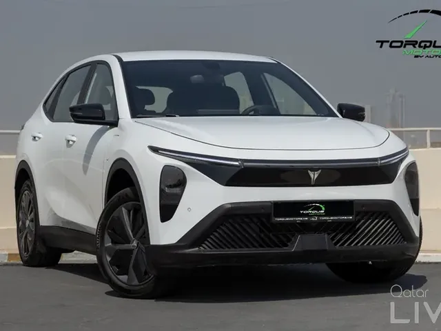 Photo of 2025 Tesla Model Y