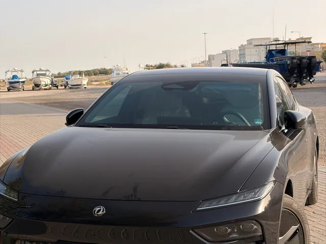 Photo of 2025 Dongfeng Dongfeng 007