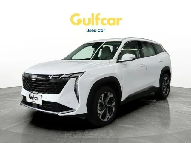 صورة 2024 جيلي ستار راي