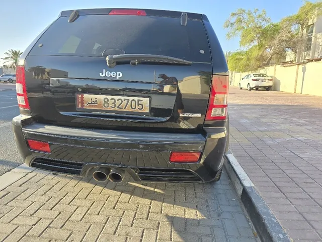 صورة 2009 جيب واجونير