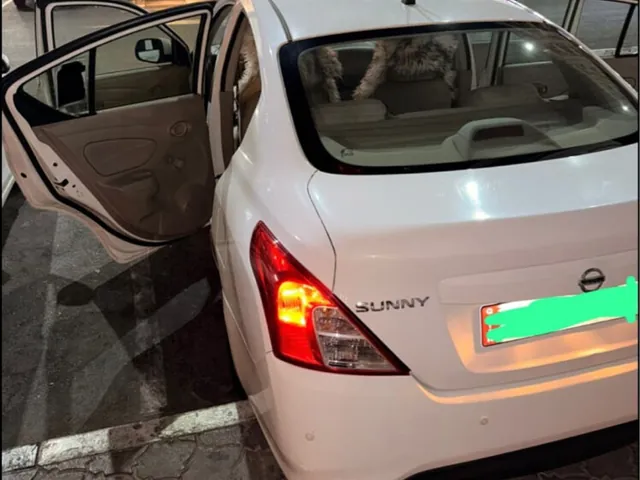 صورة 2019 نيسان صني