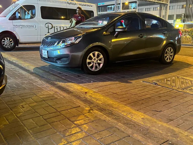 Photo of 2014 Kia Rio