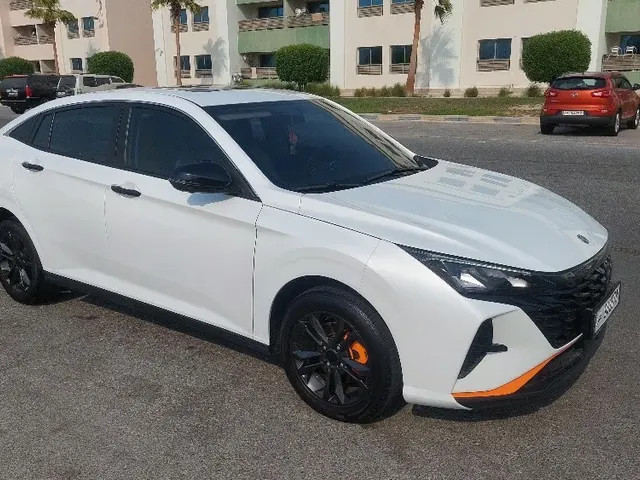 Photo of 2024 Dongfeng Shine