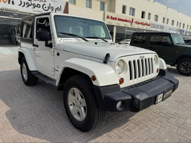 صورة 2010 جيب رينيجيد