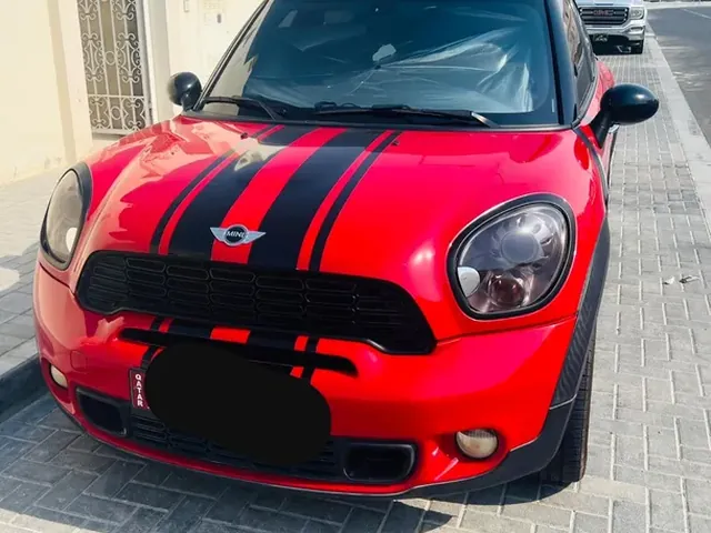 صورة 2013 ميني كاونتري مان