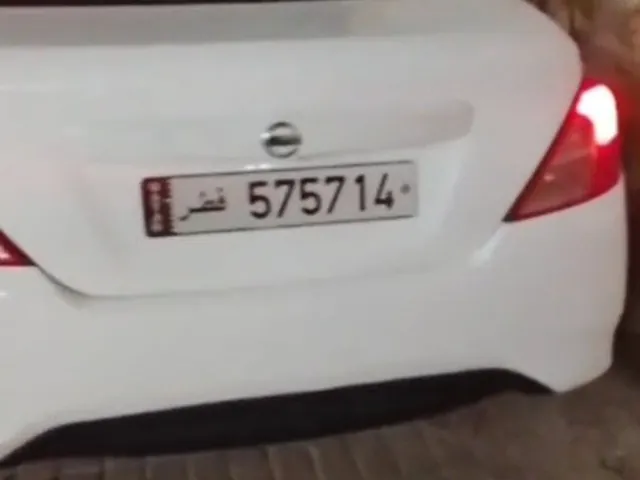 صورة 2013 نيسان صني