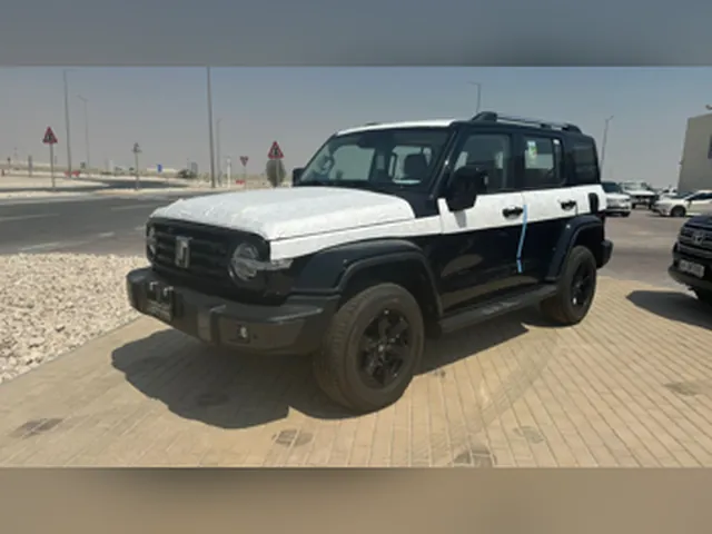 صورة 2026 تانك 300