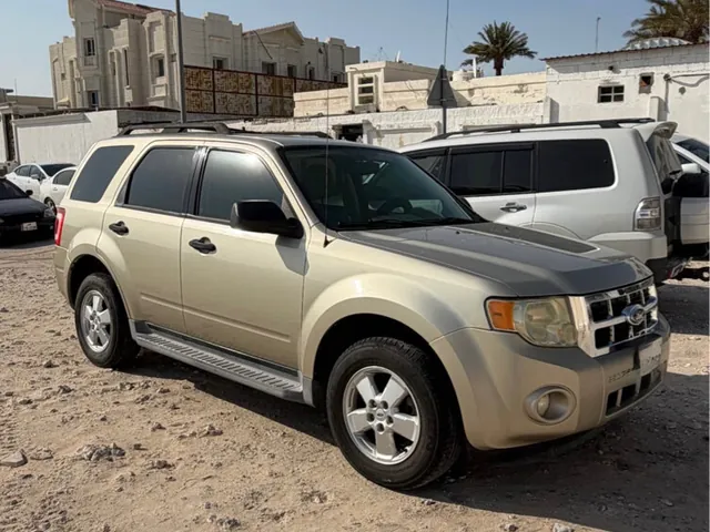 Photo of 2010 Ford Escape