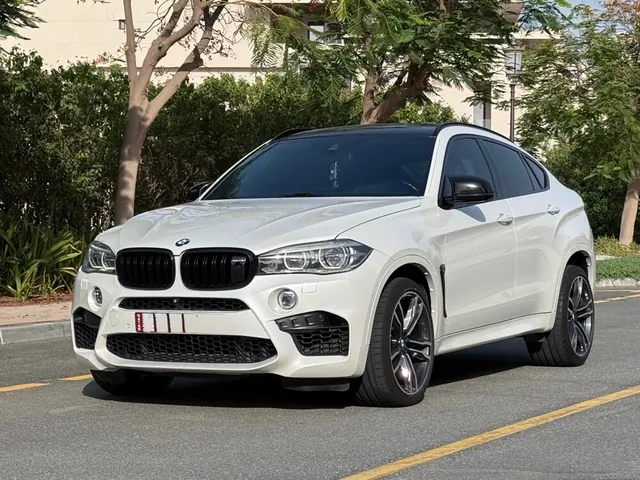 Photo of 2015 BMW X6 M