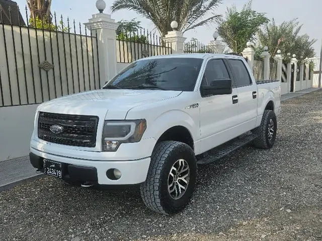 صورة 2013 فورد F-150