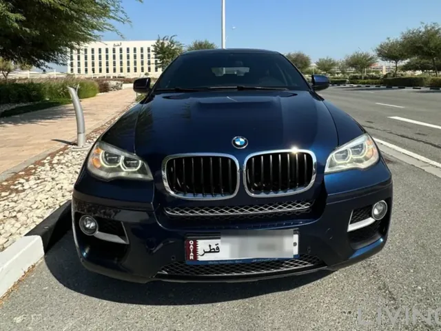 صورة 2013 بي إم دبليو X6